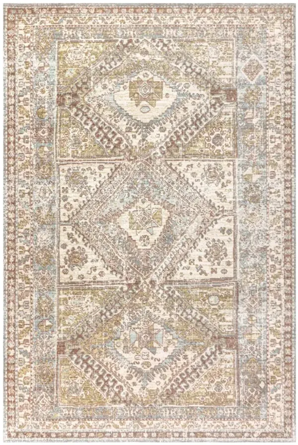 Darija Ornate Geometric Medallion Area Rug