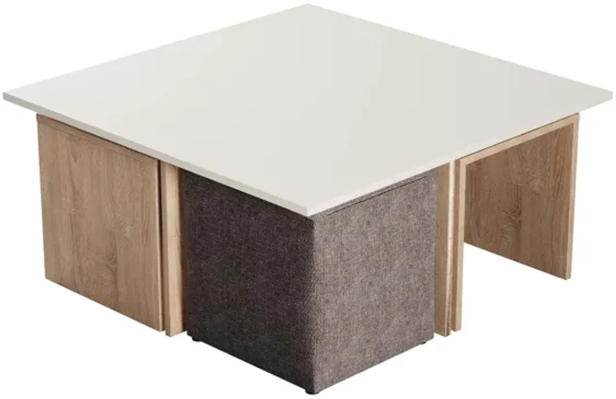 Haley Coffee Table & Ottoman Set in Brown