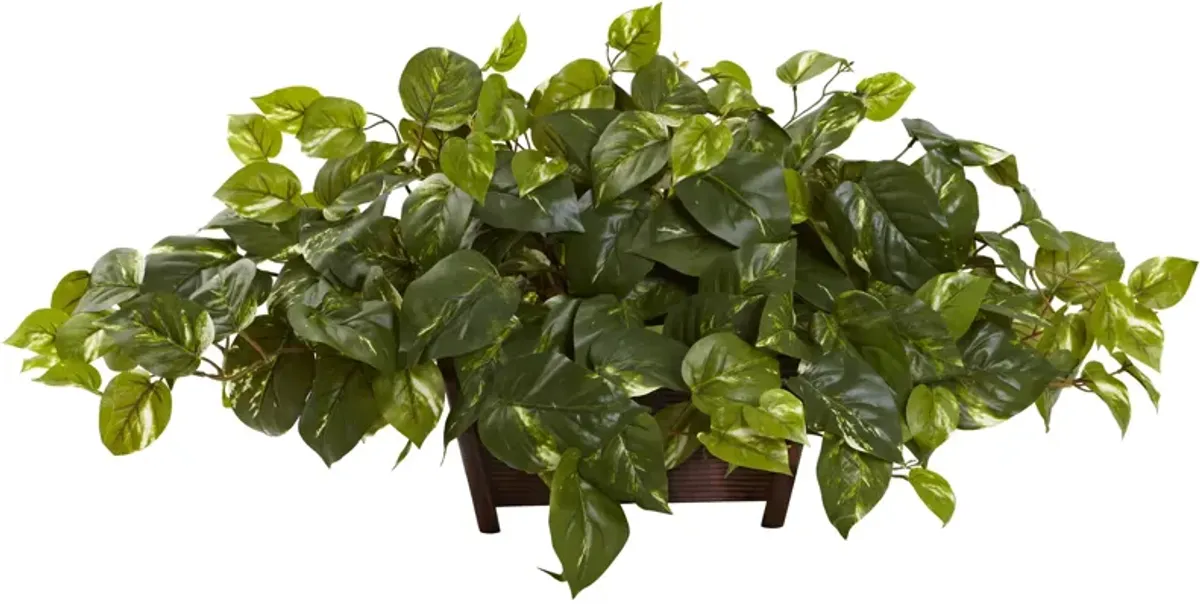 Hivvago Pothos w/Rectangle Decorative Planter