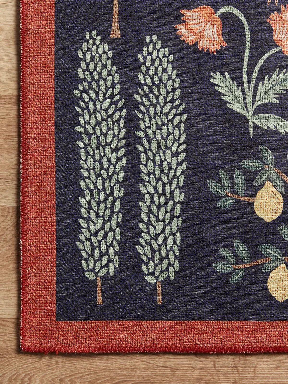 Menagerie MEN01 5'" x 5'" Rug