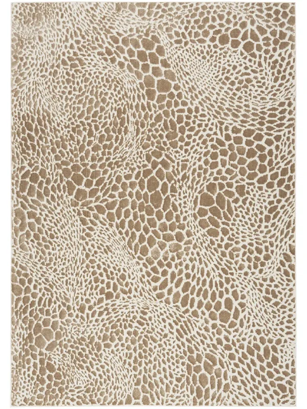 Desire DSR08 Camel/Silver 6' x 9' Rug