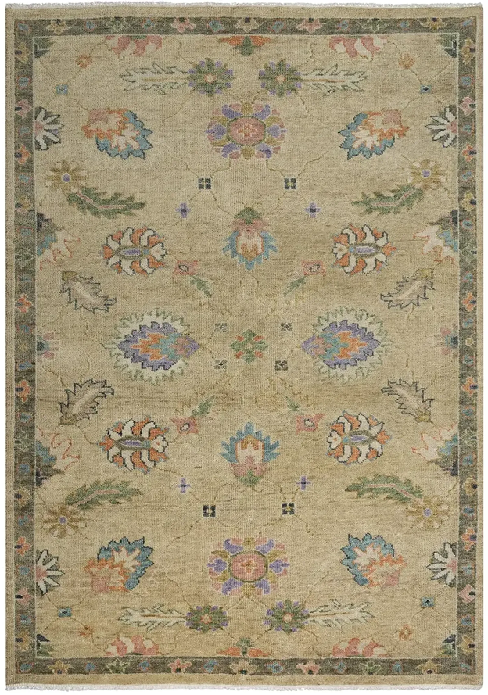 Envision ENV994 2' x 3' Rug