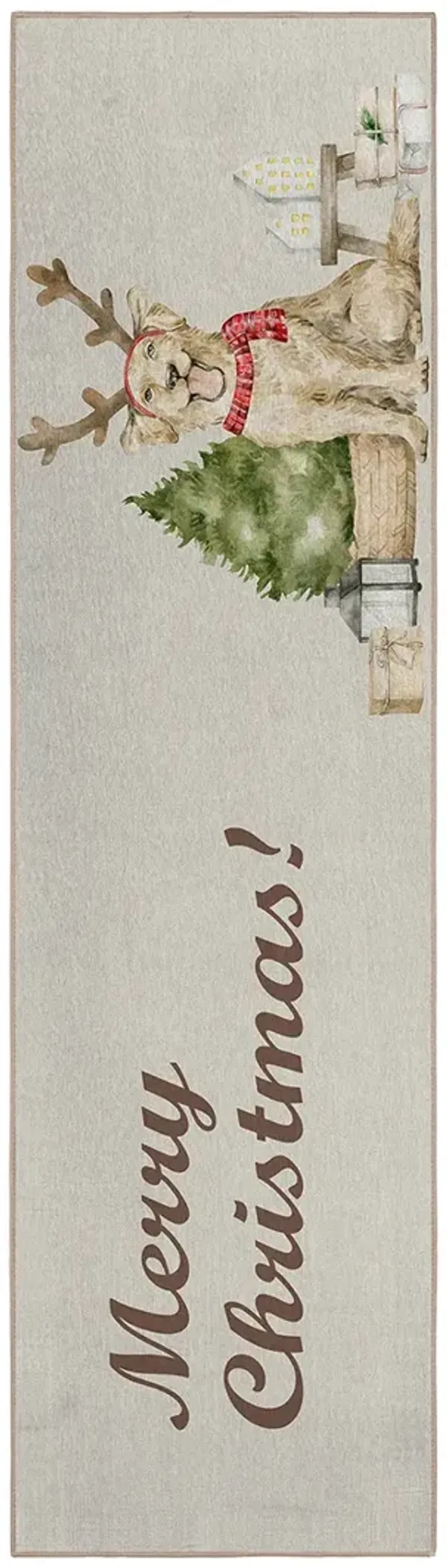 Wonderland WN8 Beige 2'3" x 7'6" Rug