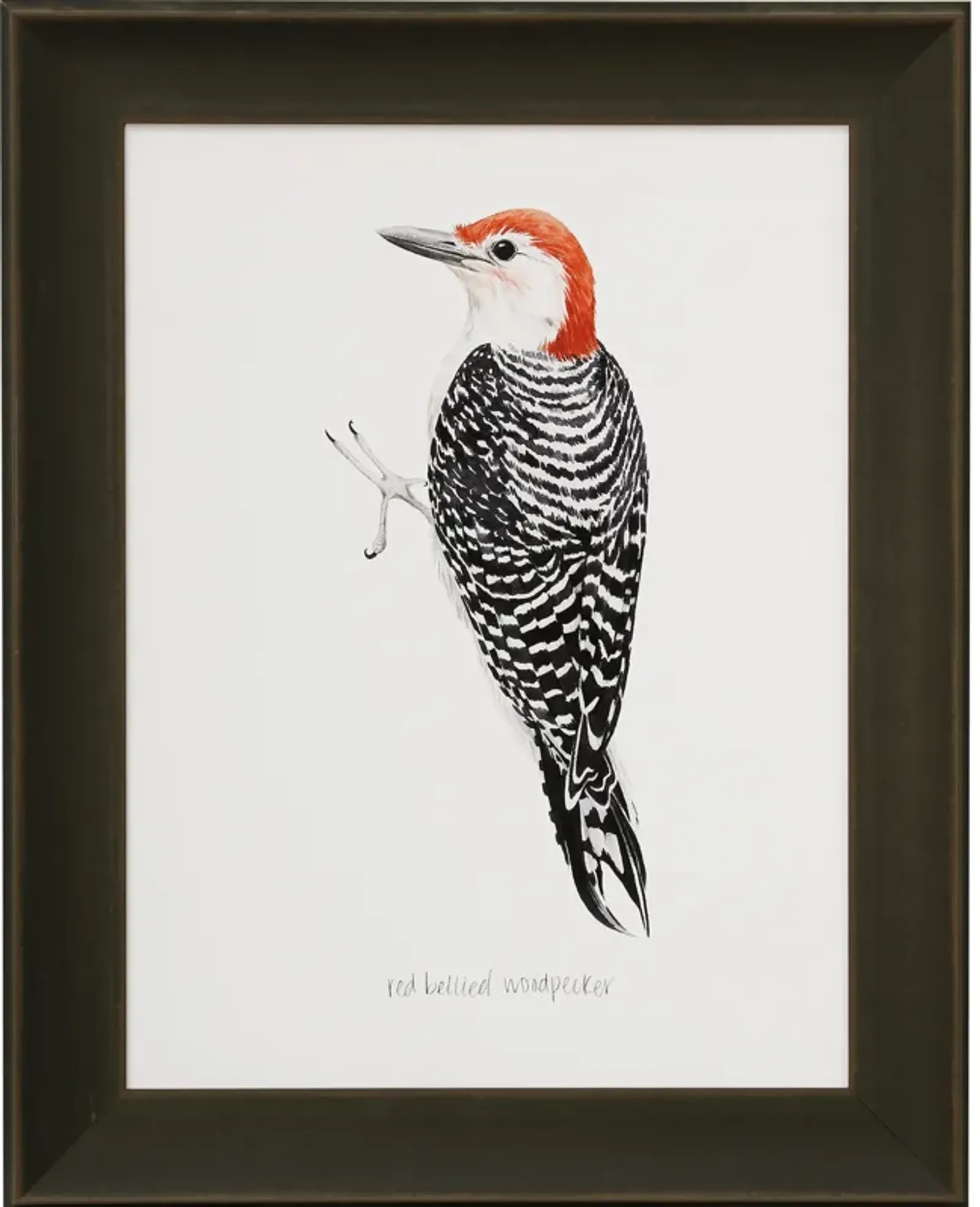 Woodpecker II Framed Print