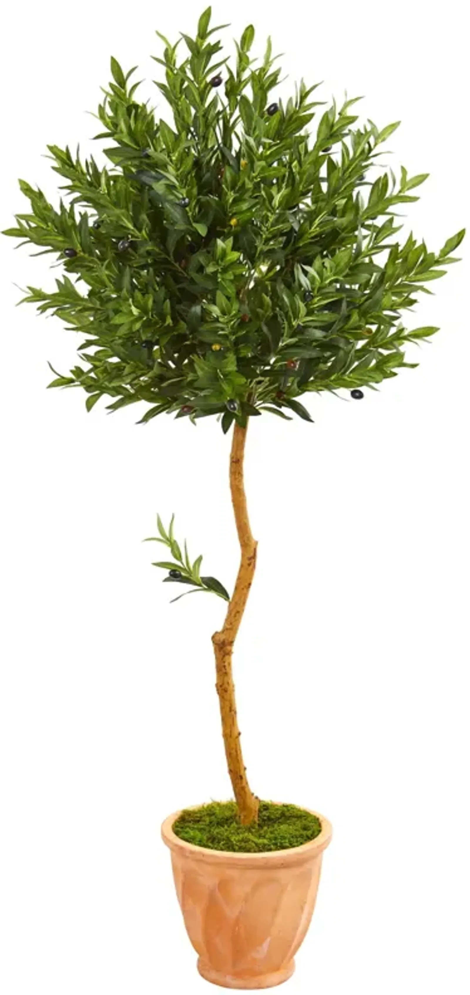 Hivvago 63 Inches Olive Topiary Artificial Tree in Terra Cotta Planter UV Resistant (Indoor/Outdoor)