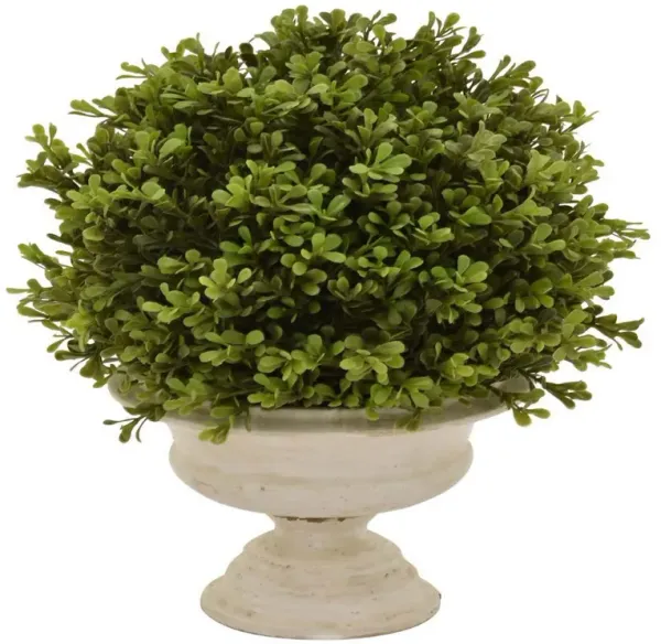 15 Inch Faux Boxwood Topiary Plant in Urn Pedestal Pot, Off White Planter - Benzara