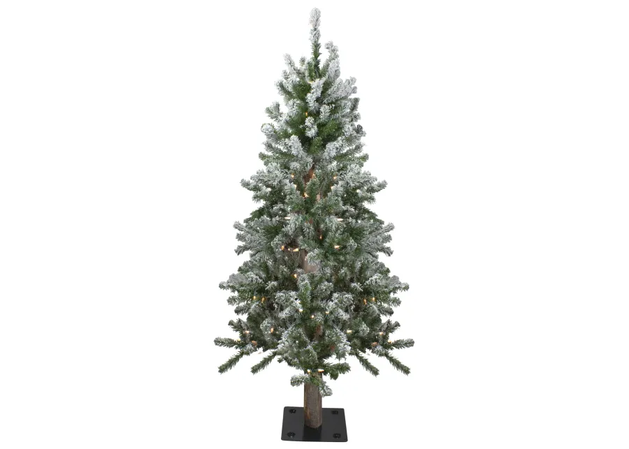 4ft Pre-Lit Flocked Alpine Artificial Christmas Tree  Clear Lights