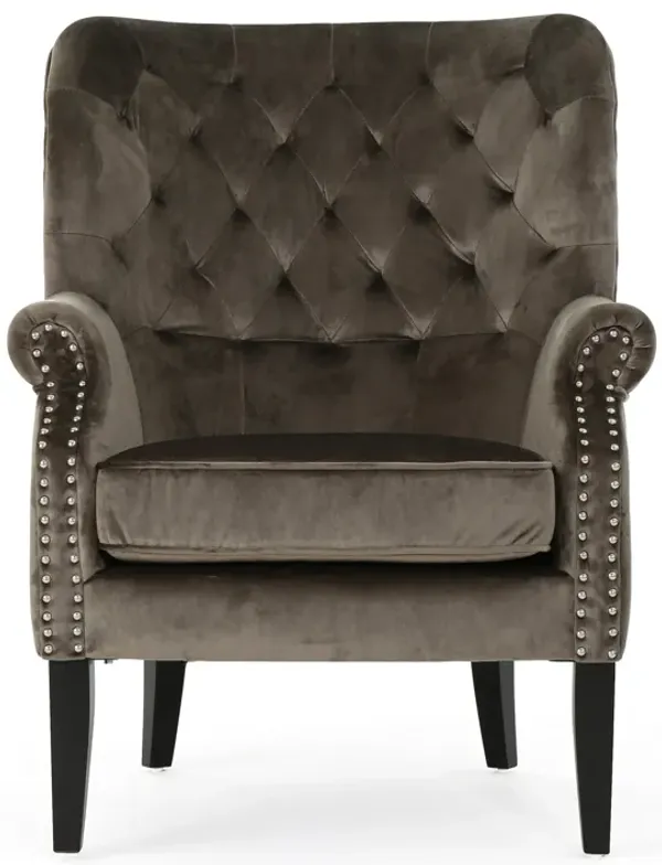 Nire Accent Club Chair, Nailhead Trim, Brown Birch Wood, Gray Velvet - Benzara