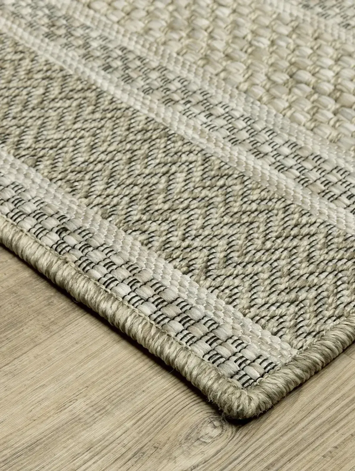 Tortuga 3'3" x 5' Beige Rug