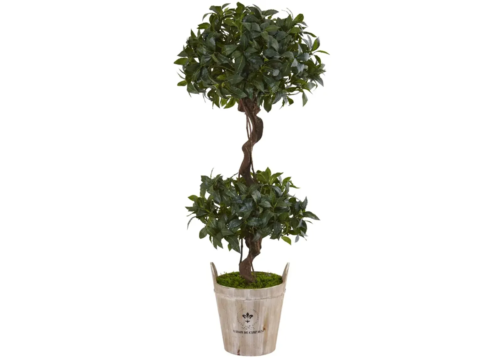 HomPlanti 4.5 Feet Sweet Bay Double Topiary Tree in Farmhouse Planter