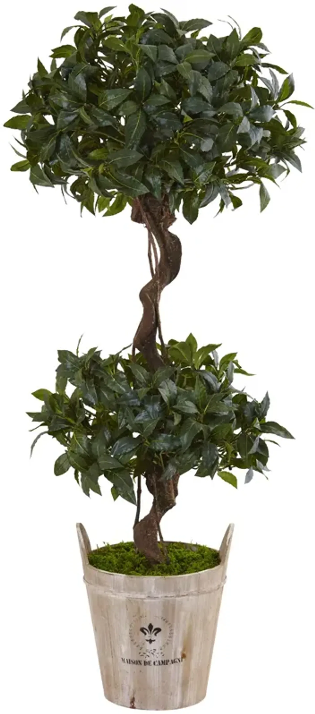 HomPlanti 4.5 Feet Sweet Bay Double Topiary Tree in Farmhouse Planter