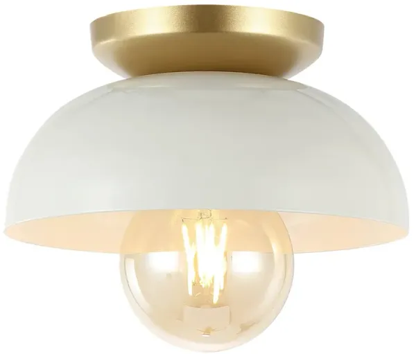 Paulina Classic Industrial Iron LED Flush Mount