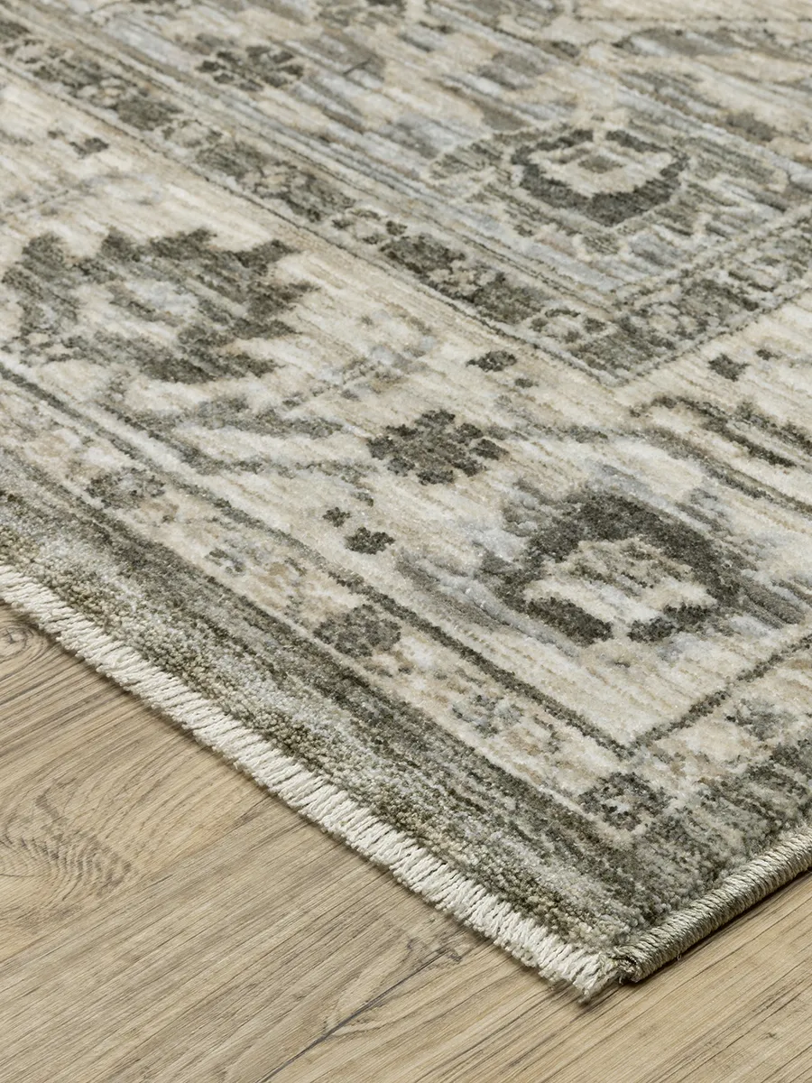 Chamberlain 3'3" x 5' Grey Rug