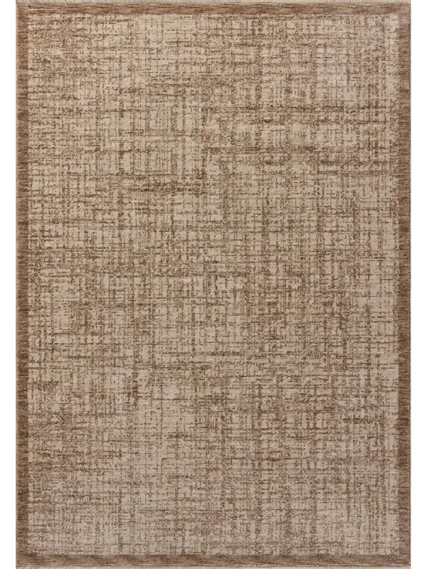 Winston Earth/Bone 3'11"x5'7" Rug