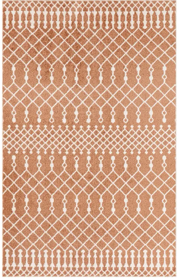 Astra Machine Washable ASW10 Copper 3'3" x 5' Rug
