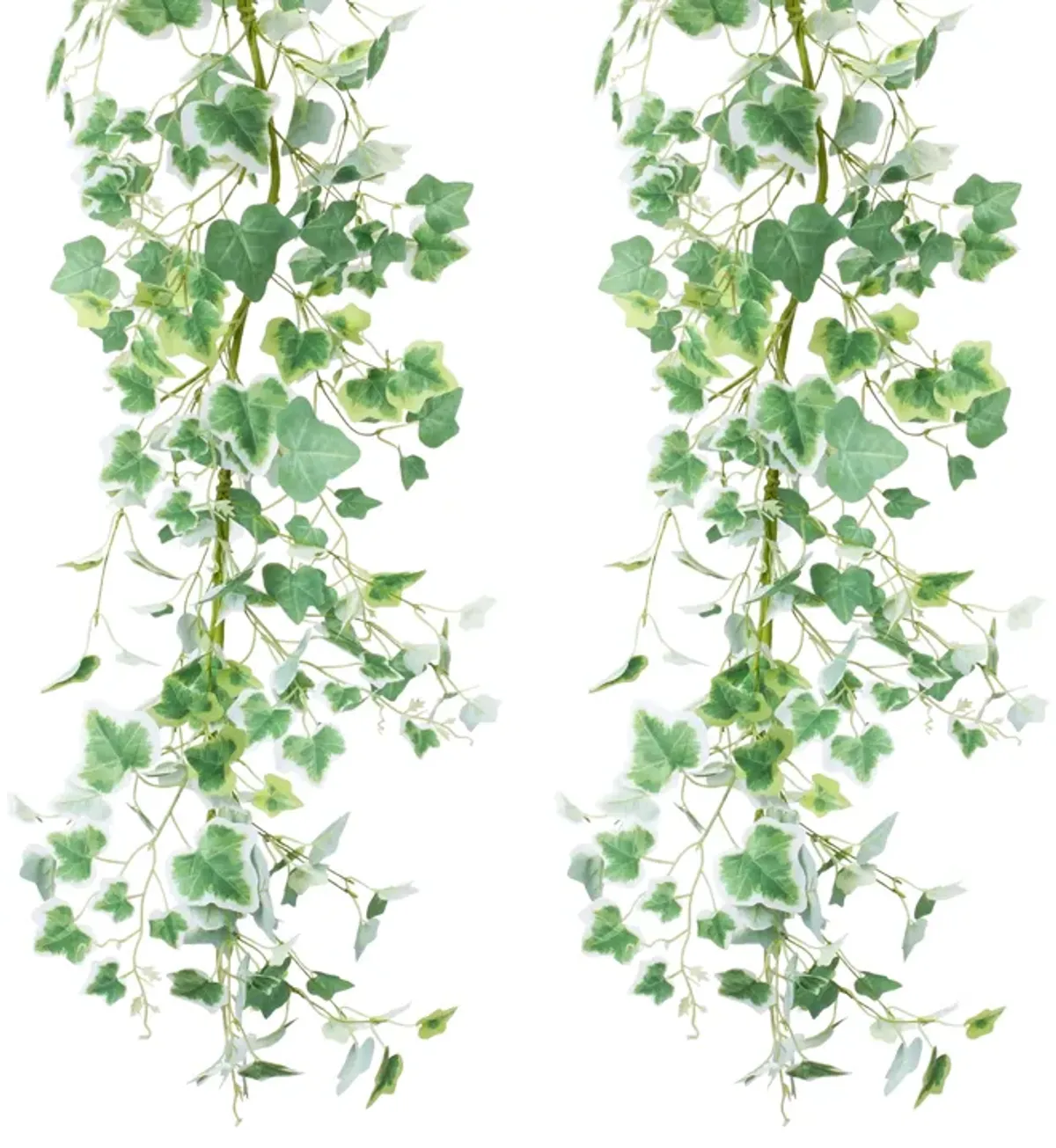 Mixed Ivy Garlands for Lush Home Decor (Set of 2)