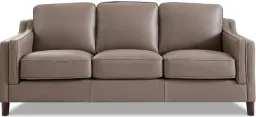 Taupe Brown color