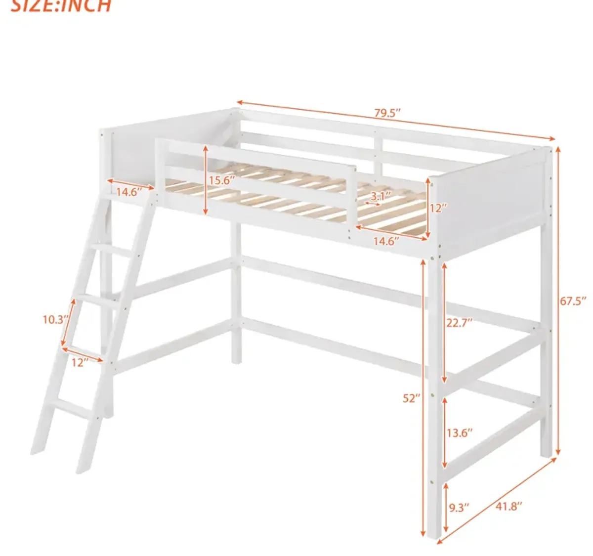 Solid Wood Twin Size Loft Bed with Ladder