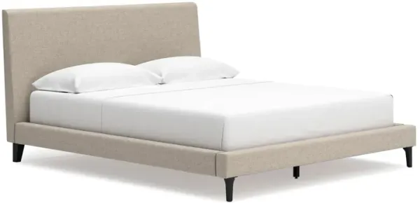 Ciel Low Profile California King Bed, Upholstered Headboard, Gray - Benzara