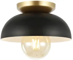 Black/Gold Painting color