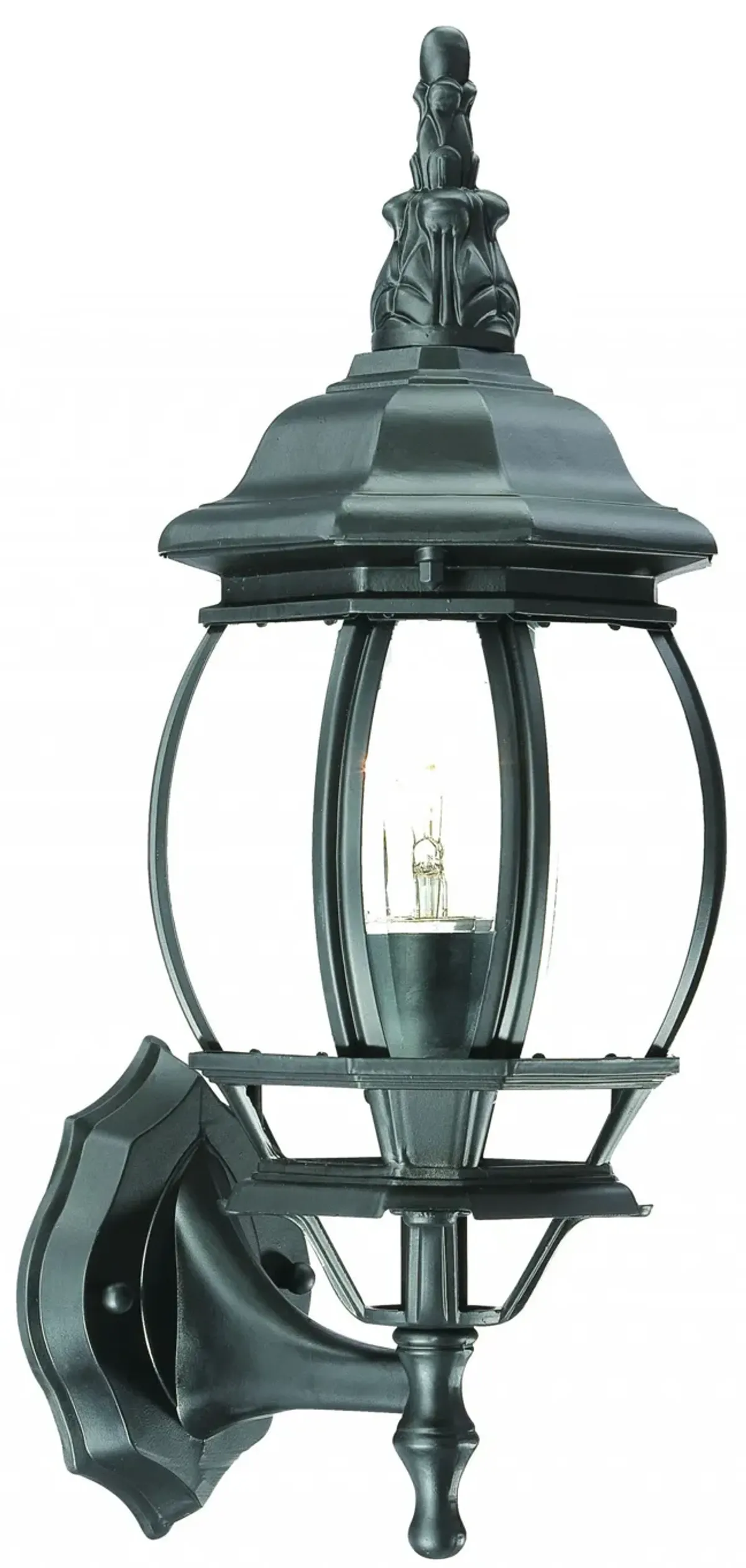 Hivvago Matte Black Ornamental Glass Globe Wall Light