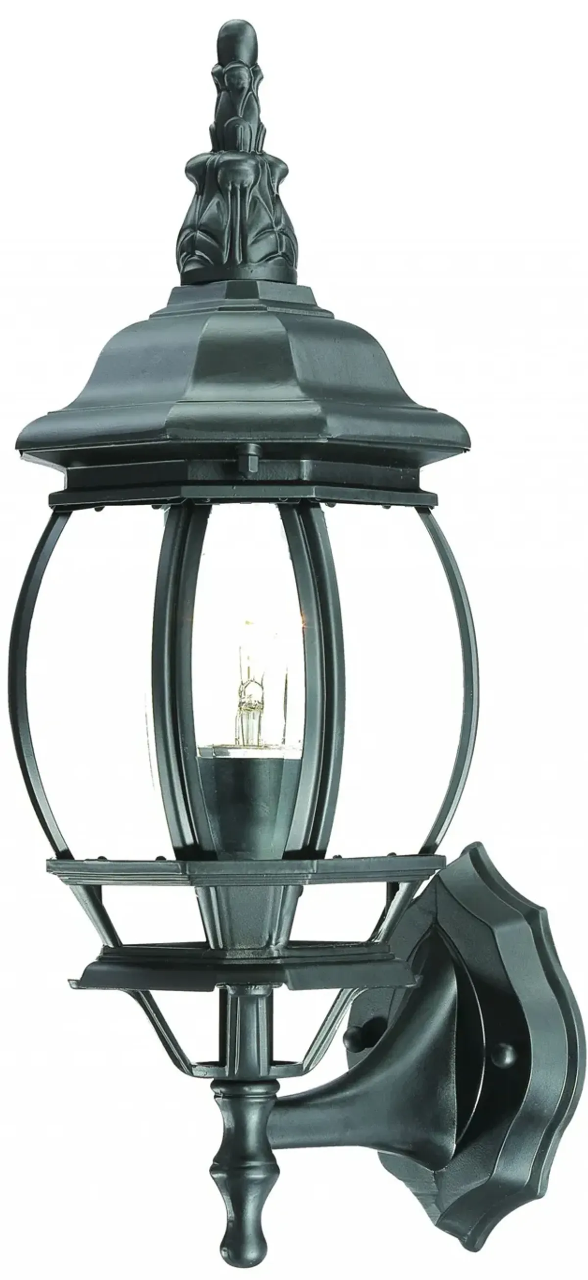 Hivvago Matte Black Ornamental Glass Globe Wall Light