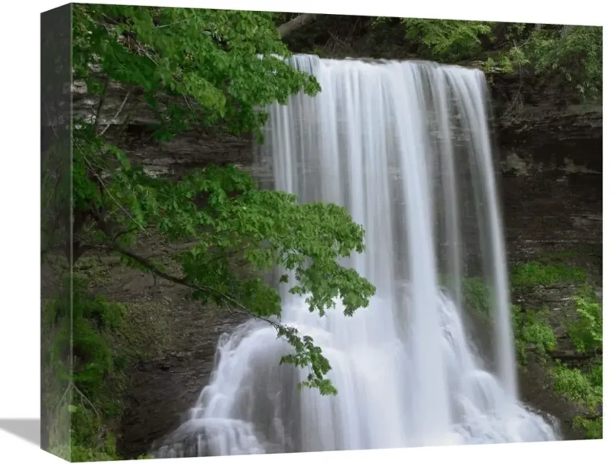 Cascading waterfall in Jefferson National Forest, Virginia-Canvas Art-16x13.28