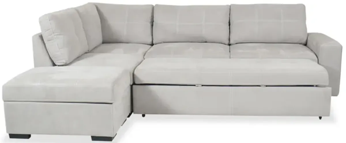 Nappa 3pc Sectional with Sleeper