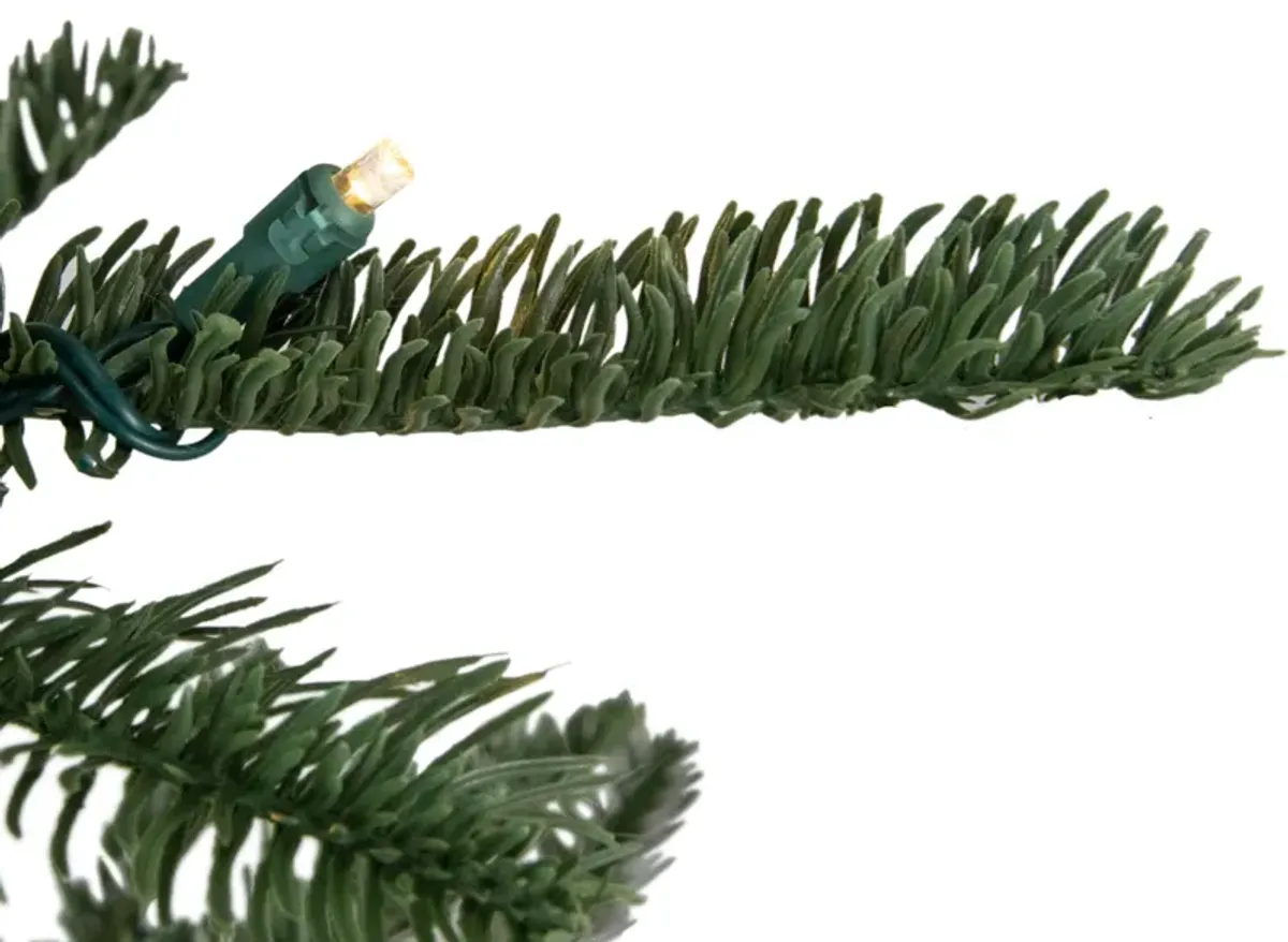 9' Pre-Lit Nordmann Fir Artificial Christmas Tree - Warm Clear LED Lights