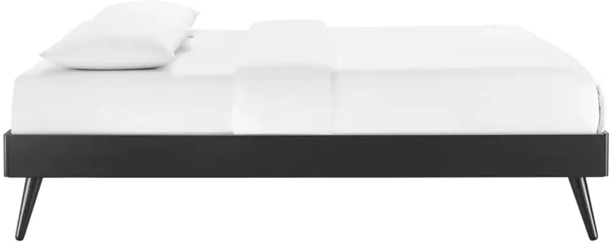 Modway - Margo Queen Wood Platform Bed Frame