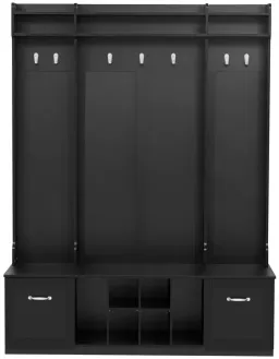Black color