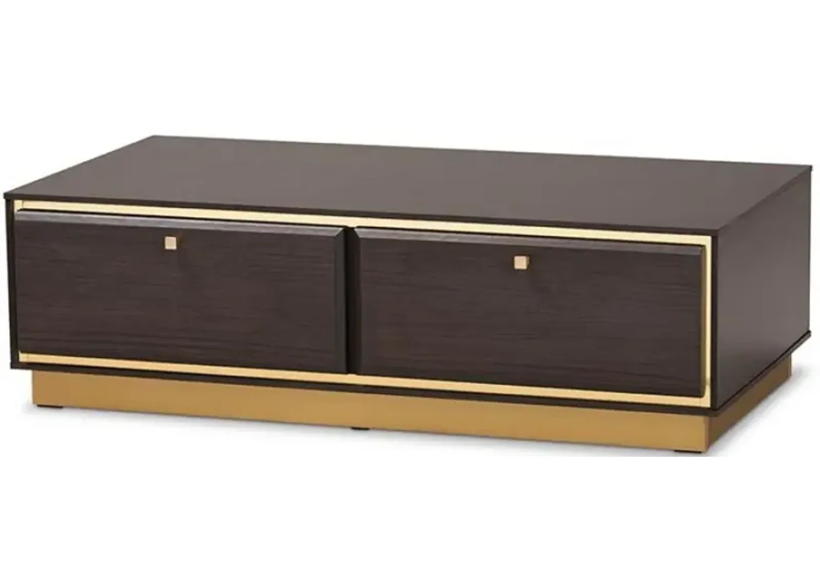 Transitional Dark Brown Finished Wood and Gold Metal 2-Drawer Coffee Table