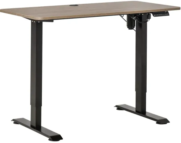 Teak/Black Adjustable Desk: 48" Electric Standing Desk with Memory Settings