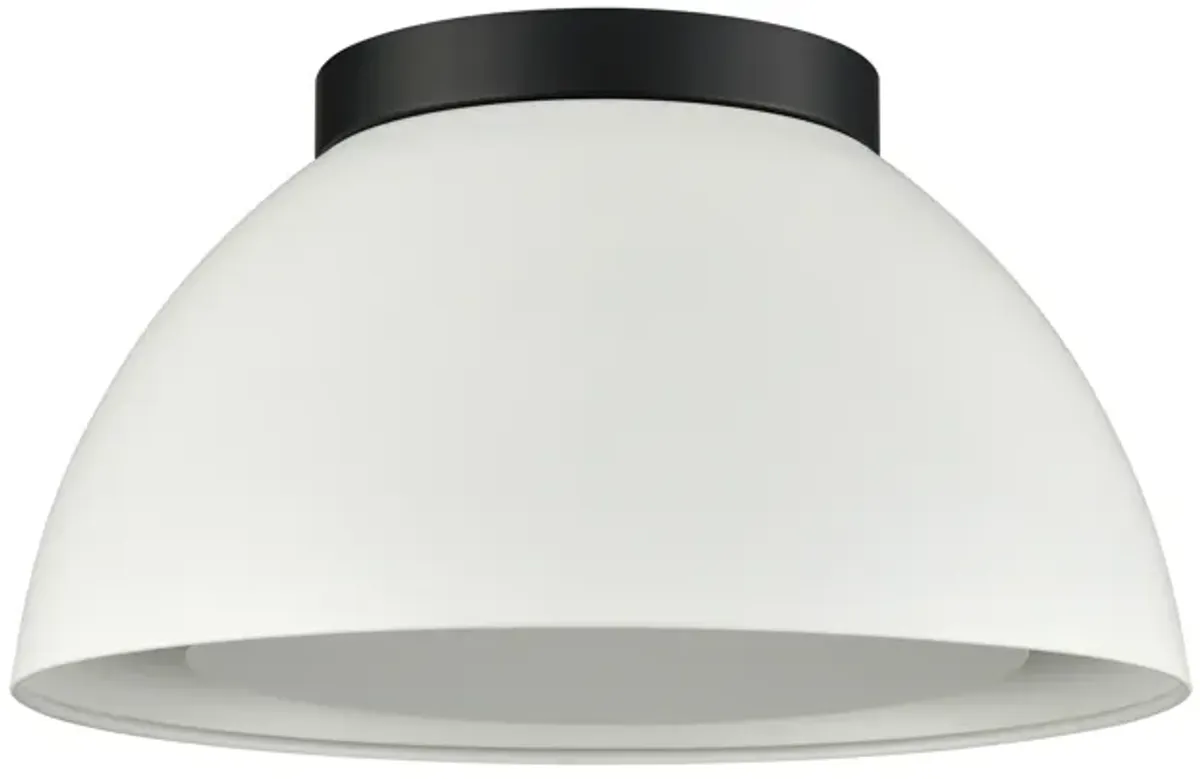 Pelham 10'' Wide 2-Light White Flush Mount