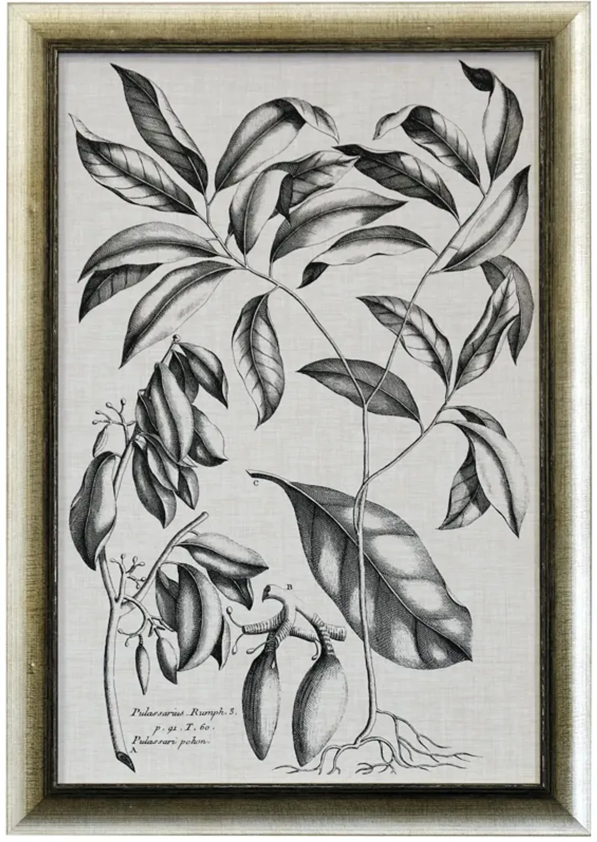 Black & Oatmeal Botanical