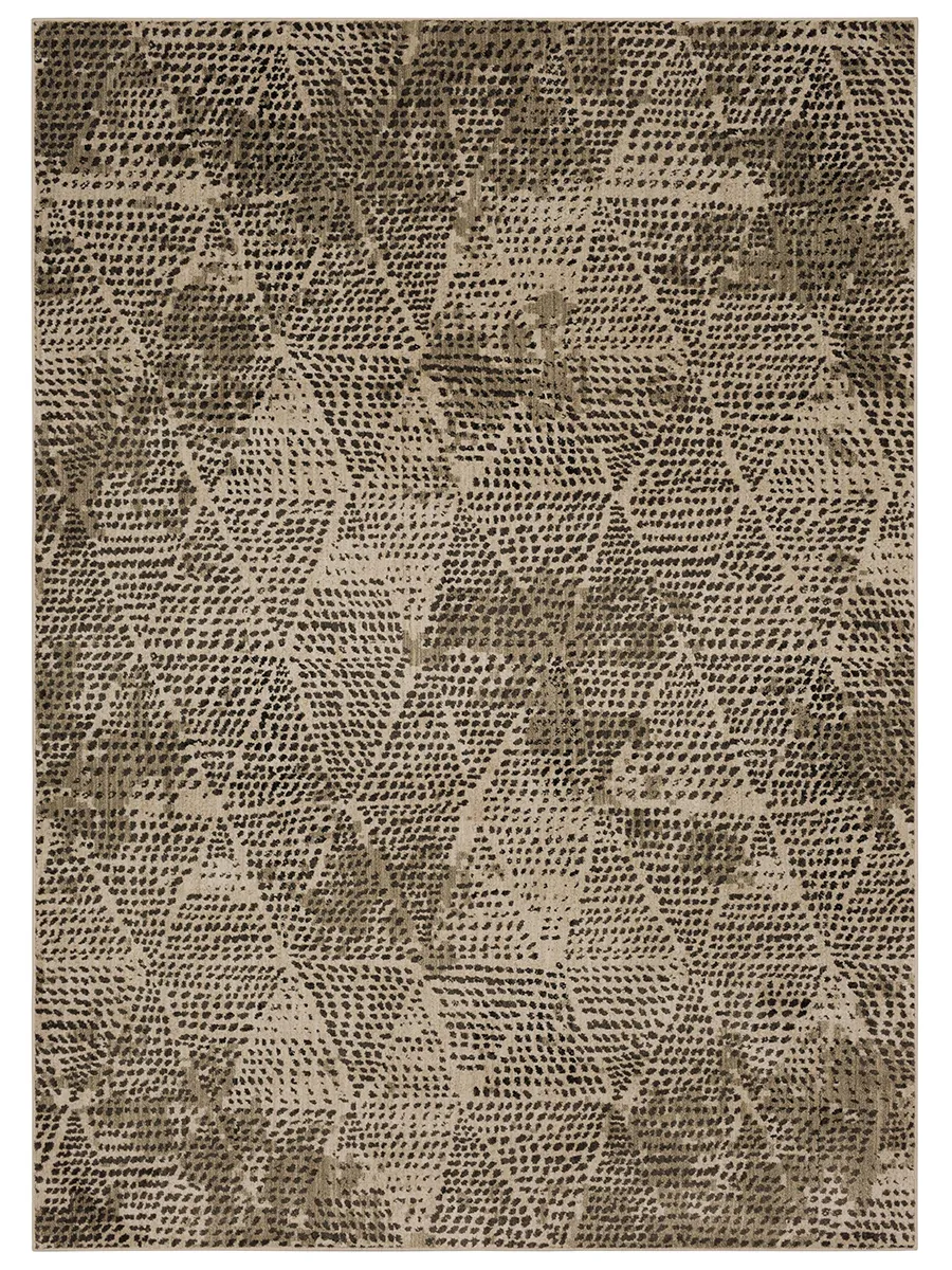 Expressions by Scott Living Kiowa Gunmetal Grey 8' X 11' Rug