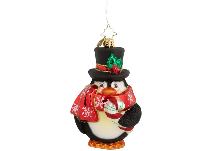 Christopher Radko Flightless Yet Fashionable Glass Christmas Ornament 1020742