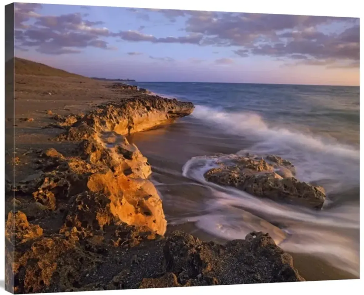 Beach at dusk, Blowing Rocks Preserve, Florida-Canvas Art-35x28
