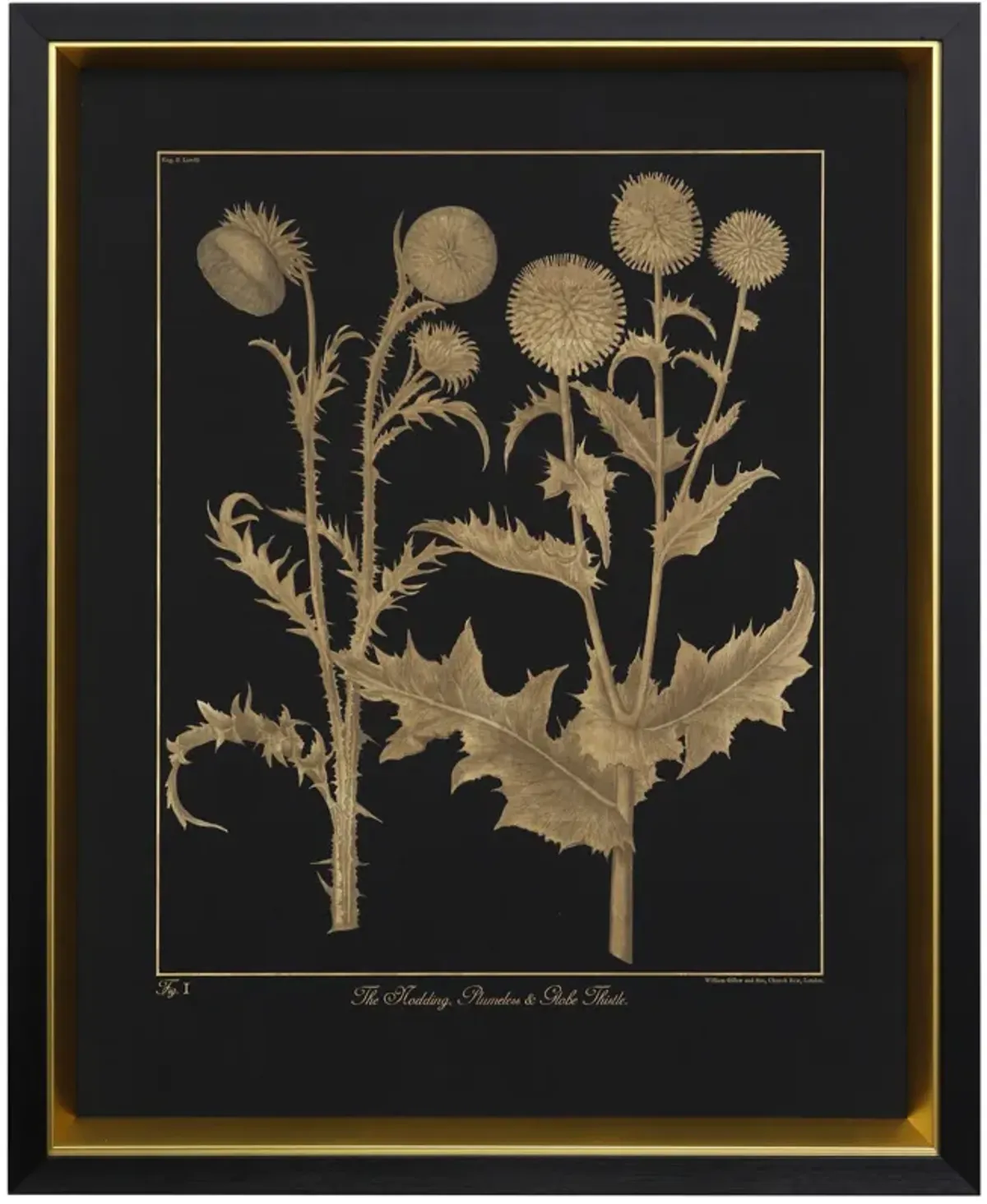 Thistle Framed Print