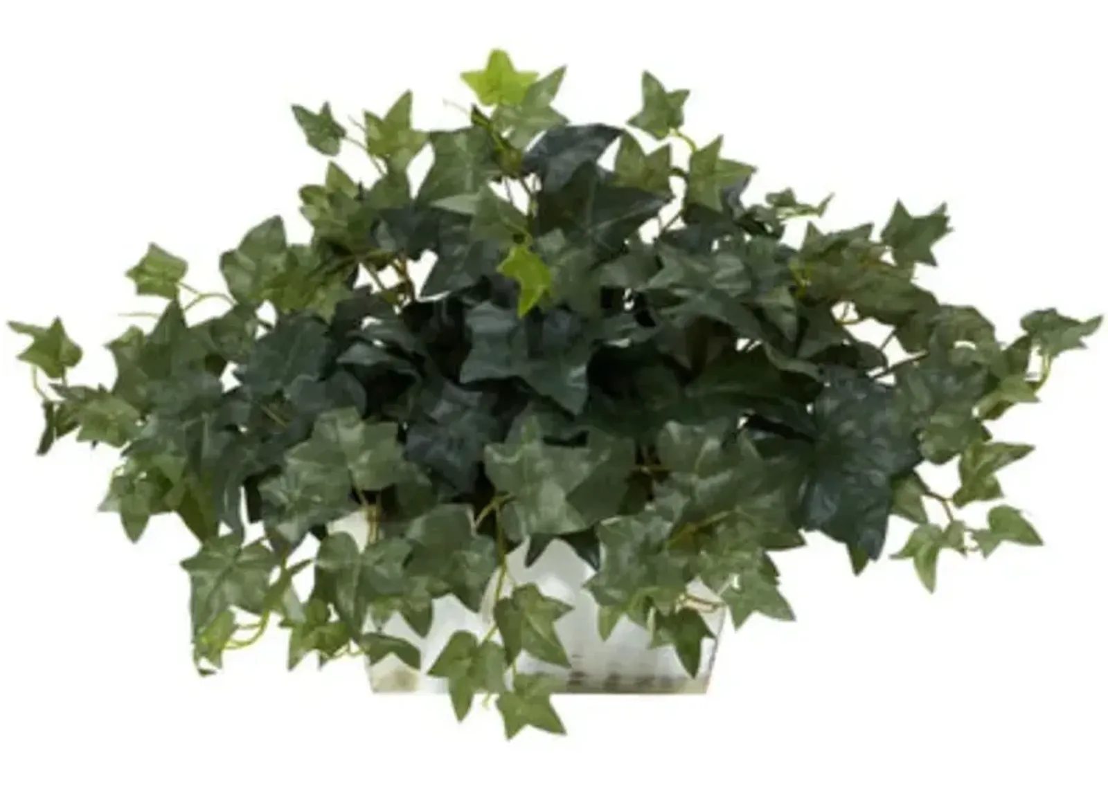 HomPlanti Ivy w/White Wash Planter Silk Plant