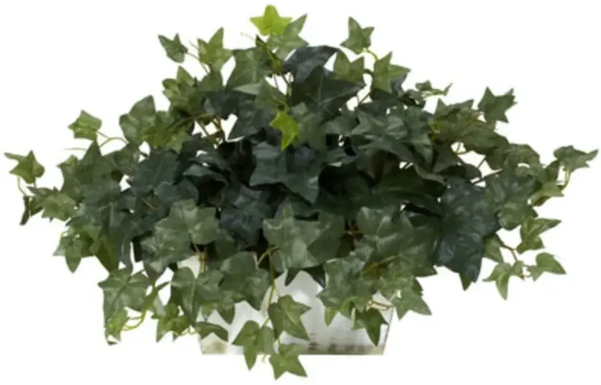 HomPlanti Ivy w/White Wash Planter Silk Plant