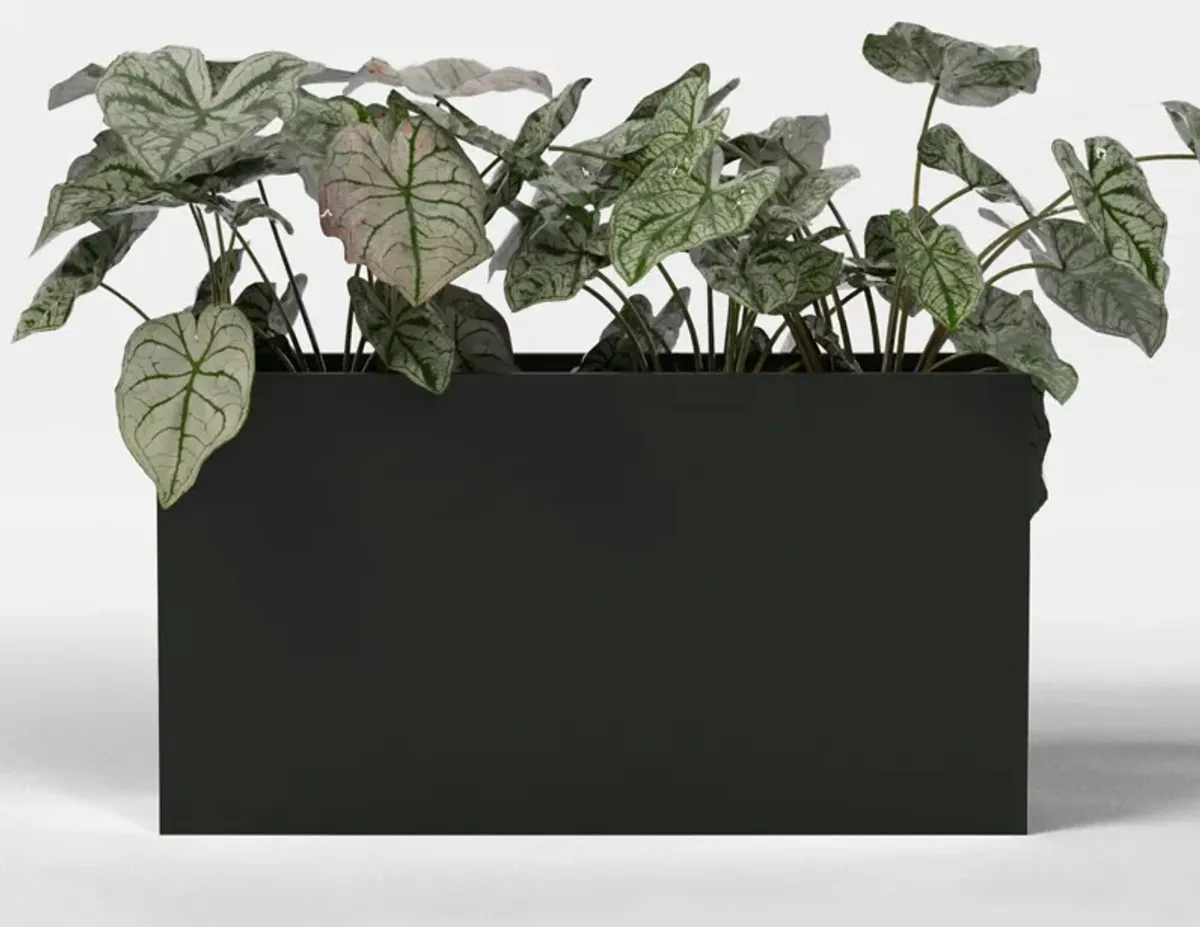 Greenline Fiberglass Leo Large Indoor/Outdoor Rectangle Planter - 36 in x 16 in x 24 in