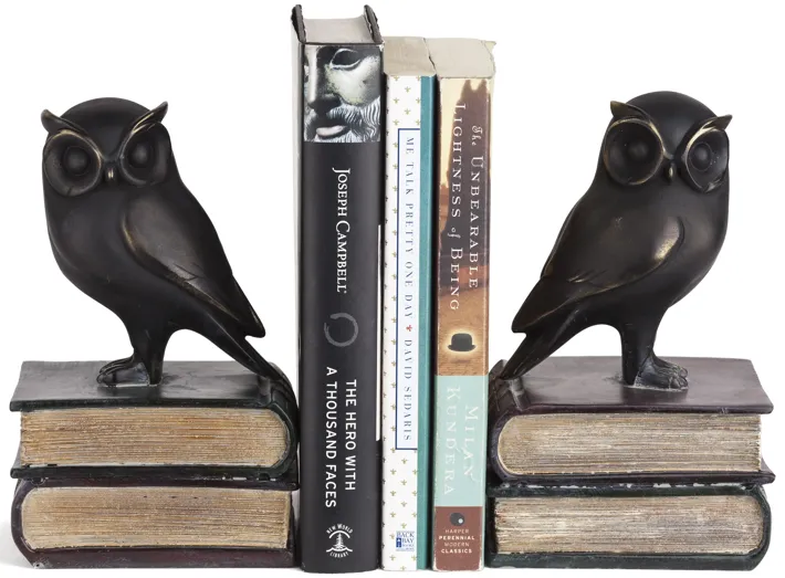 Owl on Books Bookend Set