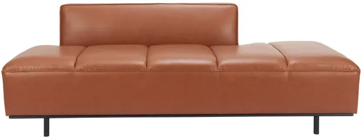 Confection Sofa Brown