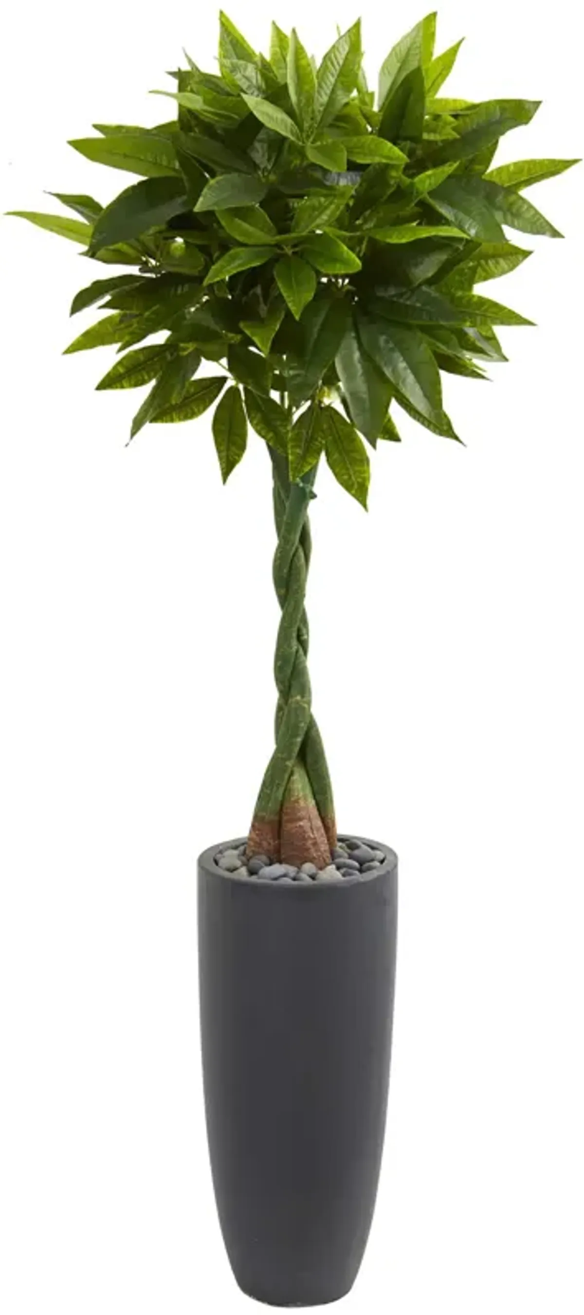 Hivvago 6 Feet Money Artificial Tree in Gray Cylinder Planter (Real Touch)