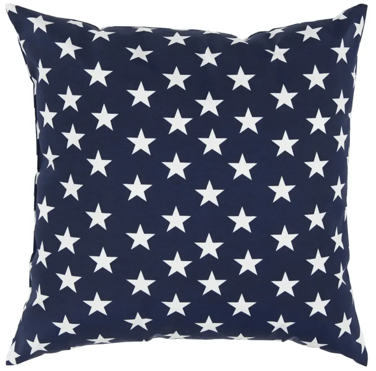 22"x22" Indoor/Outdoor Pillow