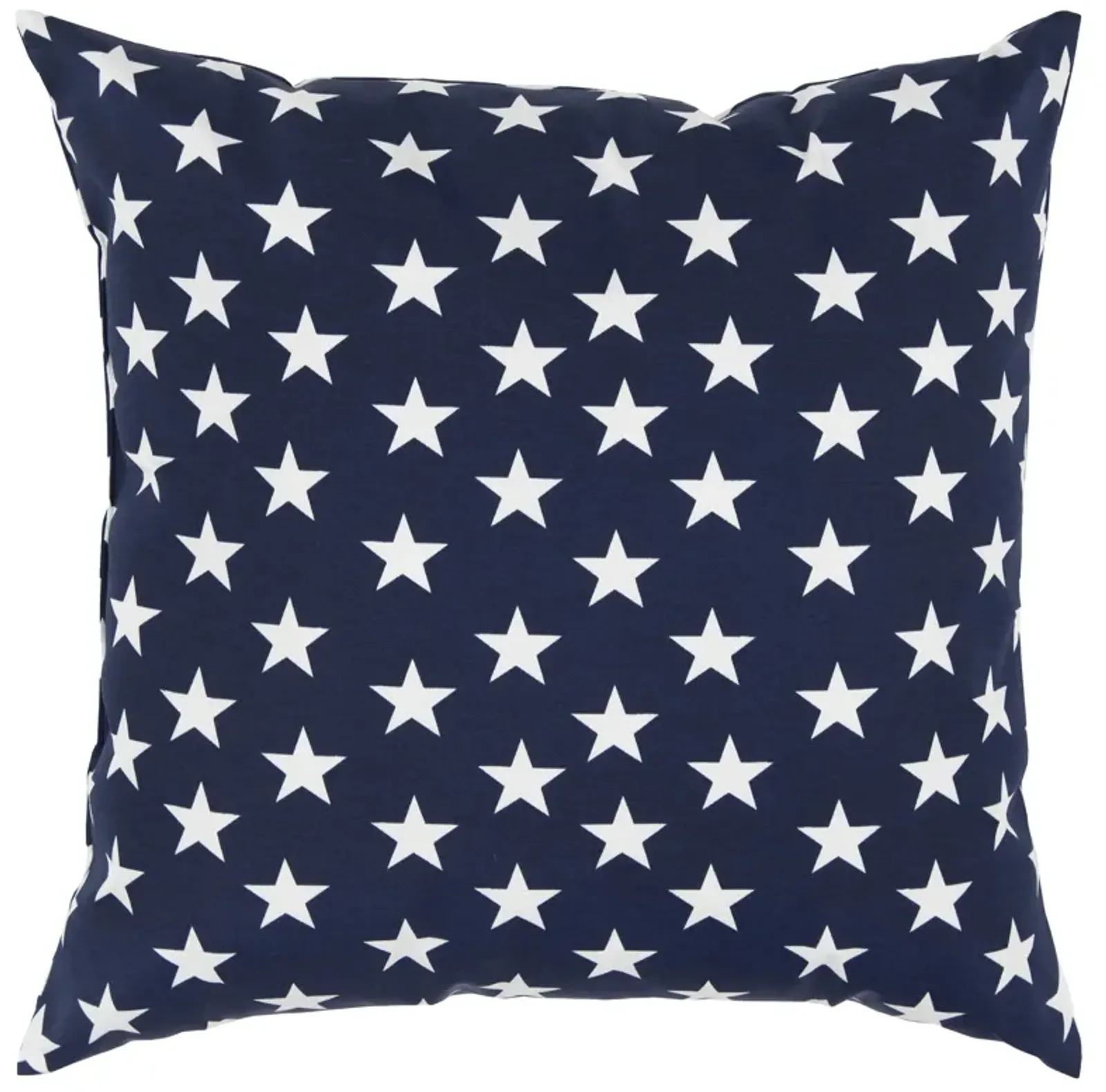 22"x22" Indoor/Outdoor Pillow