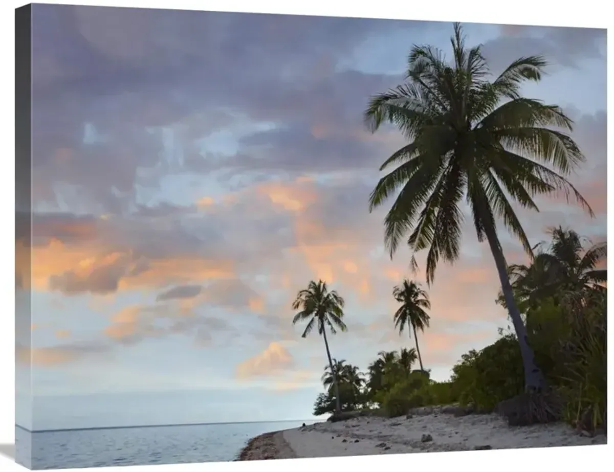 Coconut Palm trees, Pamilacan Island, Bohol Island, Philippines-Canvas Art-32x24