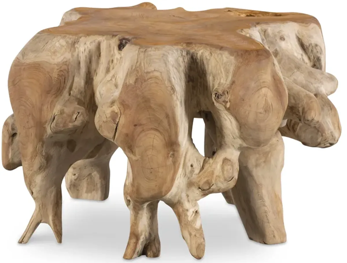 Hunter Teak Root Accent Table