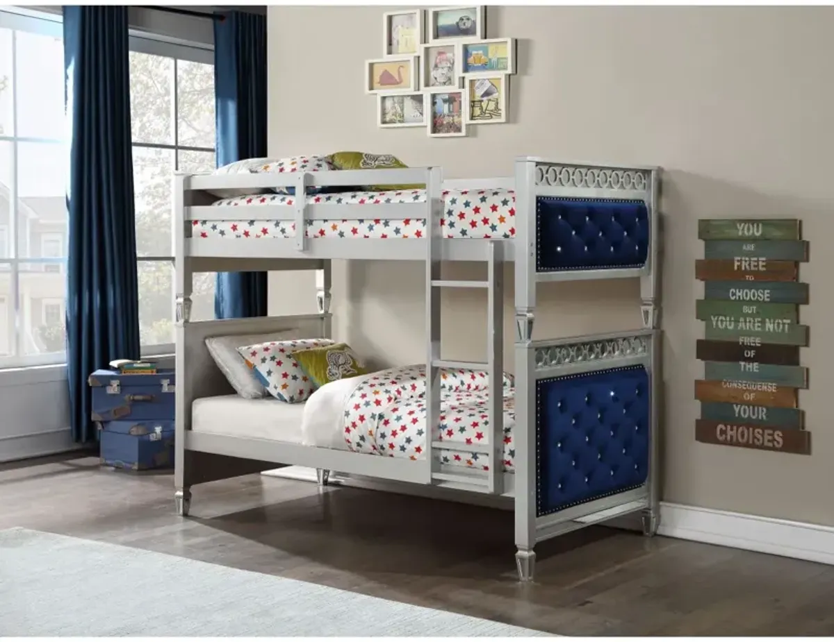 Twin/Twin Bunk Bed, Velvet